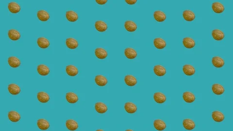 Colorful pattern of coconuts. Top view. Minimal tropical fruit summer concept Stockbeeldmateriaal 167484309