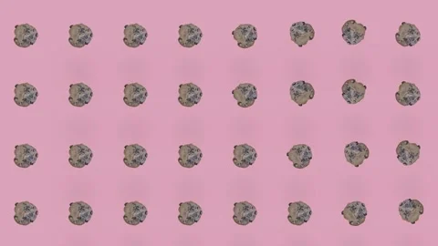 Colorful pattern of fresh chocolate chip cookies on pink background. Seamless Stock Footage 167485468