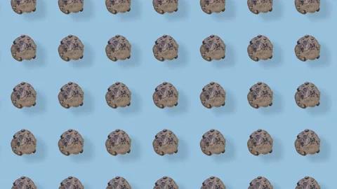 Colorful pattern of fresh chocolate chip cookies on blue background with shadows Stock Footage 167488204
