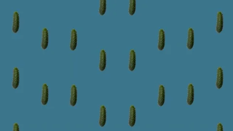 Colorful pattern of fresh cucumbers. Top view. Seamless pattern with cucumber Stock Footage 167484014