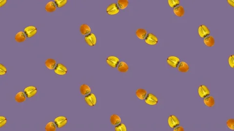 Colorful pattern of fresh orange persimmons on purple background. Top view Stock Footage 167479794