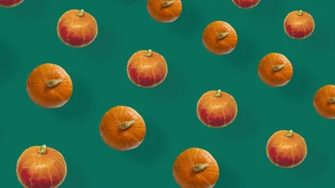 Colorful pattern of fresh orange pumpkins on green background with shadows Stock Footage 167486851