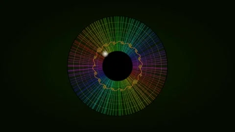Colorful pattern inside a circular shape with radial lines Stock Footage 337073432