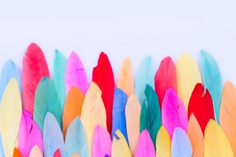 Colorful pattern made of feathers. 스톡 사진
