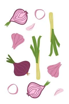 Colorful pattern of onions and leeks on white background Stock Illustration