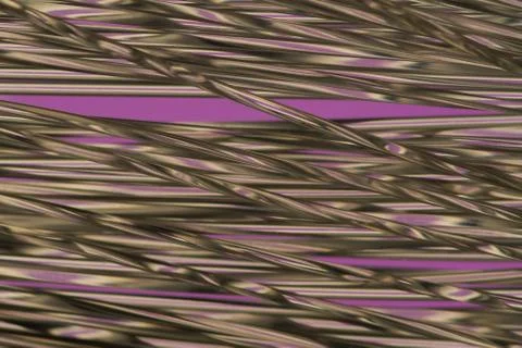 Colorful pattern Stock Photos