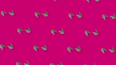 Colorful pattern of rotating cat heads on pink background. Seamless pattern with Stock Footage 169239375