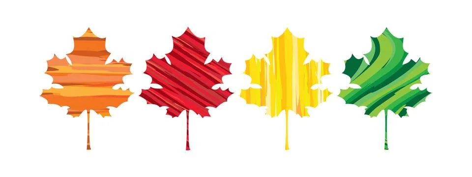 Colorful patterned maple leaves イラスト素材