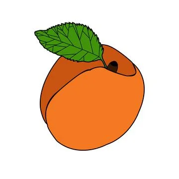 Colorful Peach with one  leaf Stock Illustration