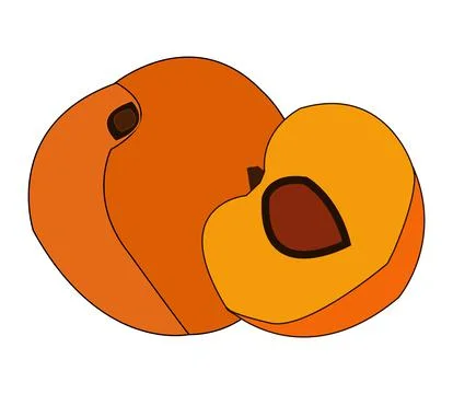 Colorful peach vector design artwork Stock Illustration
