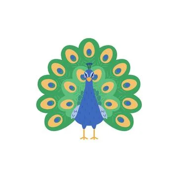 Colorful peacock fluffed its tail, cartoon illustration vector on white Stock Illustration