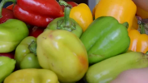 Colorful pepper Stock Footage 141374627