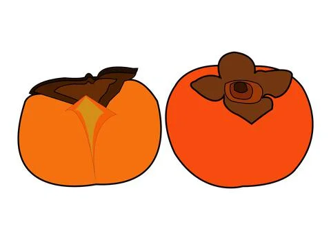 Colorful persimmon vector art design Stock Illustration