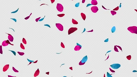 Colorful Petals Stock Footage 158459349