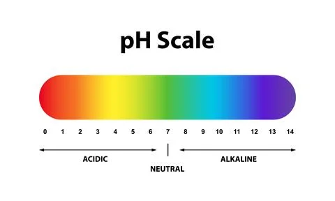 Colorful  Ph level Scale chart indicator diagram value. Alkaline, neutral, .. Stock Illustration