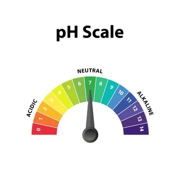 Colorful Ph level Scale chart indicator diagram value. Alkaline, neutral, a.. Stock Illustration