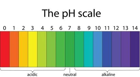 Colorful pH scale Stock Illustration