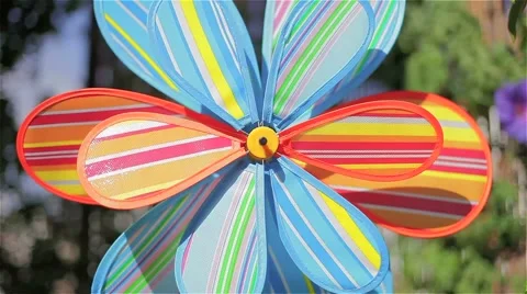 Colorful pinwheel Video stock 50954499