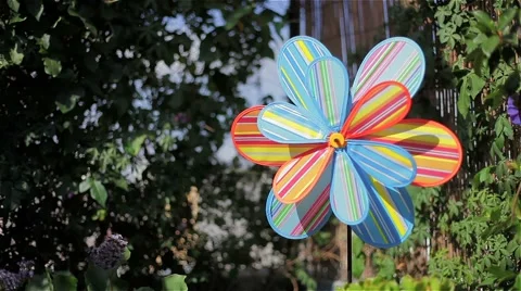 Colorful pinwheel Video stock 50957145