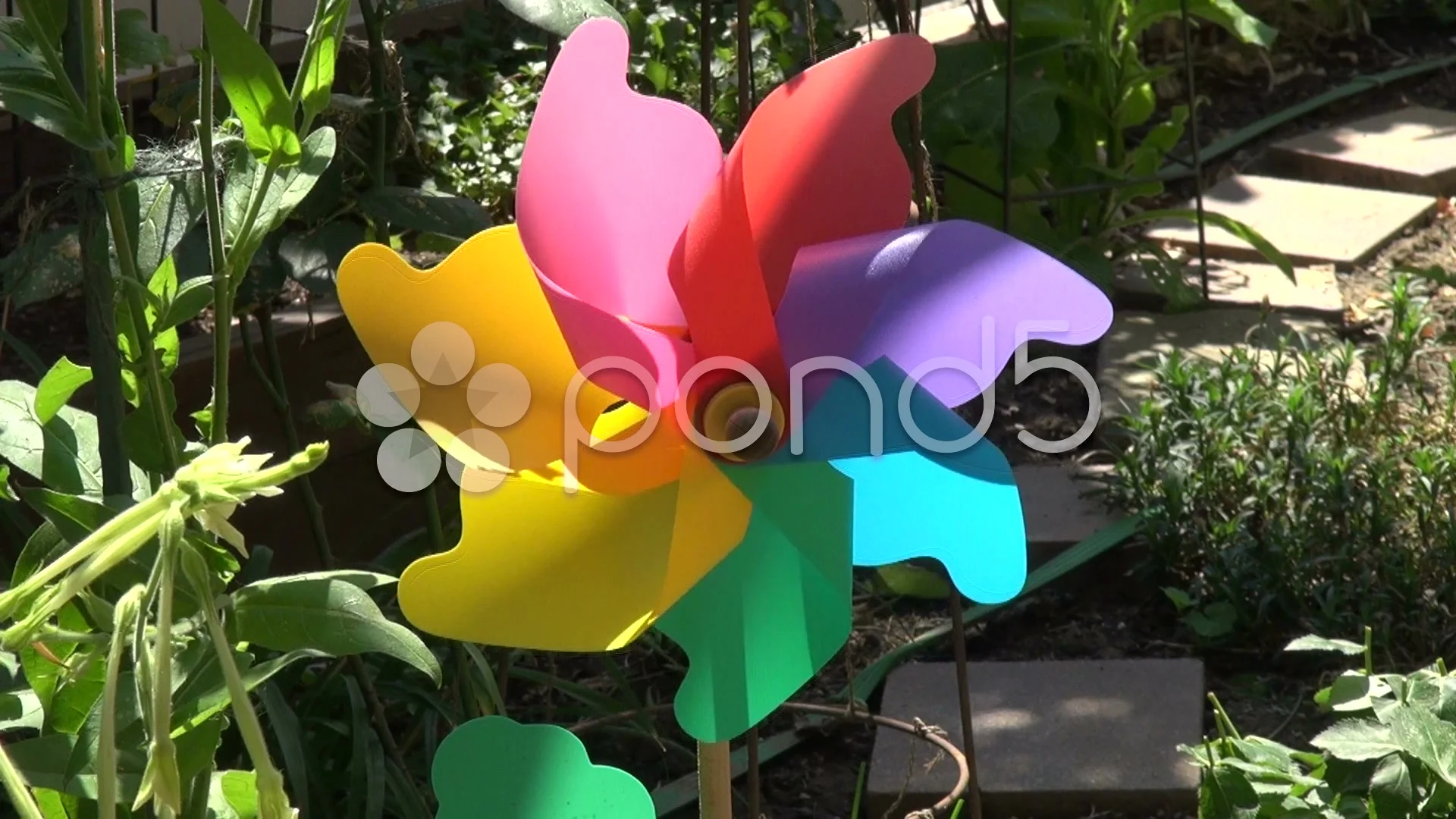 Colorful pinwheel toy spinning in the Stock Video Pond5