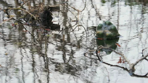 Colorful plastic bottles of drinks float in the water and clog the environment 動画素材 106830512