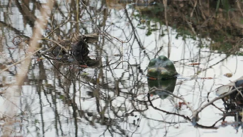 Colorful plastic bottles of drinks float in the water and clog the environment Vídeos de archivo 106972680