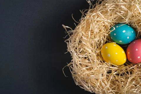 Colorful polka dot Easter eggs in wooden nest on dark grey plain background Stock Photos