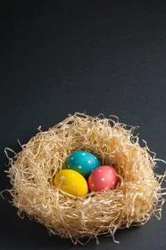 Colorful polka dot Easter eggs in wooden nest Stock Photos