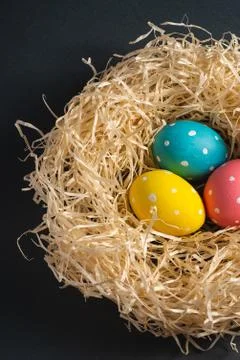 Colorful polka dot Easter eggs in wooden nest, greeting card Stock Photos