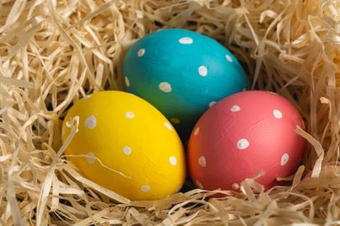Colorful polka dot Easter eggs in wooden nest, greeting card Stock Photos