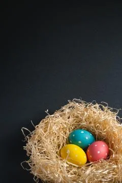 Colorful polka dot Easter eggs in wooden nest on dark grey background Stock Photos