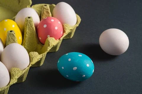 Colorful polka dot Easter eggs in egg tray on dark grey black plain background Stock Photos