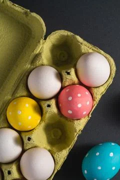 Colorful polka dot Easter eggs in egg tray on dark background Stock Photos