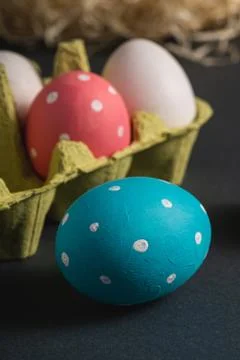 Colorful polka dot Easter eggs in egg tray on dark grey black plain background Stock Photos