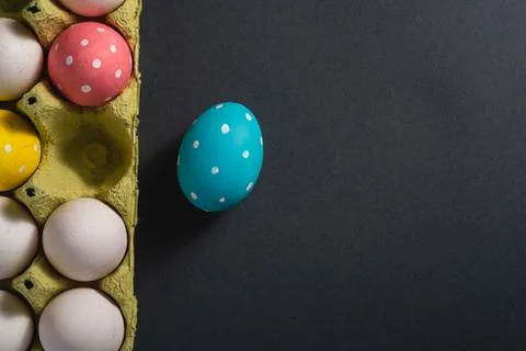 Colorful polka dot Easter eggs in egg tray on dark grey black plain background Stock Photos