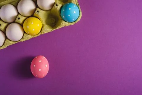 Colorful polka dot Easter eggs in egg tray on purple violet plain background Stock Photos