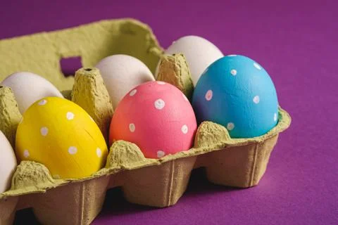 Colorful polka dot Easter eggs in egg tray on purple violet plain background Stock Photos
