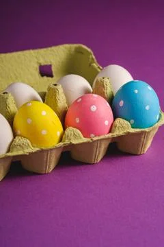 Colorful polka dot Easter eggs in egg tray on purple violet plain background Stock Photos
