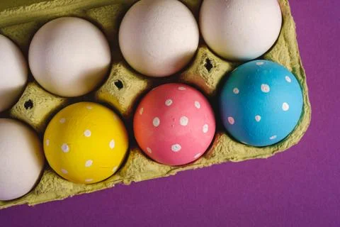 Colorful polka dot Easter eggs in egg tray on purple violet plain background Stock Photos