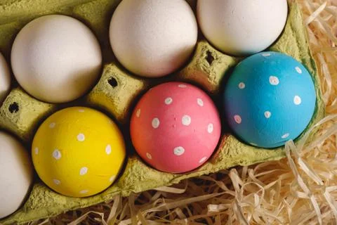 Colorful polka dot Easter eggs in egg tray on wooden nest, greeting card Stock Photos