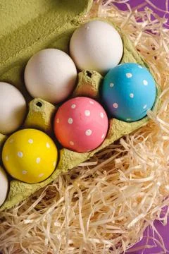 Colorful polka dot Easter eggs in egg tray on wooden nest on purple violet Stock Photos