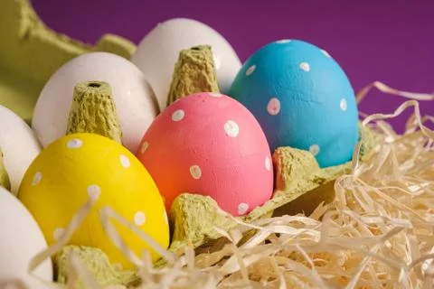 Colorful polka dot Easter eggs in egg tray on wooden nest on purple violet Stock Photos