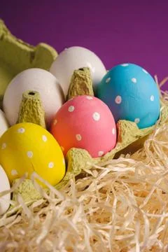 Colorful polka dot Easter eggs in egg tray on wooden nest on purple violet Stock Photos