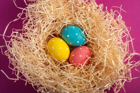 Colorful polka dot Easter eggs in wooden nest on pink background Stock Photos