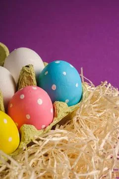 Colorful polka dot Easter eggs in egg tray on wooden nest on purple violet Stock Photos