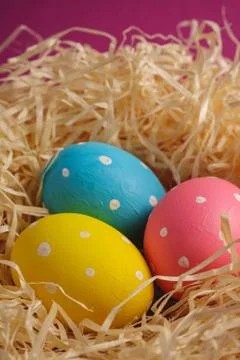 Colorful polka dot Easter eggs in wooden nest, greeting card, angle view Stock Photos