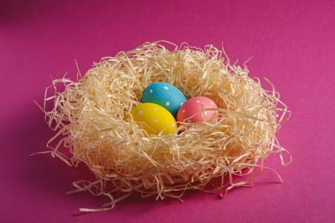 Colorful polka dot Easter eggs in wooden nest on pink purple background Stock Photos