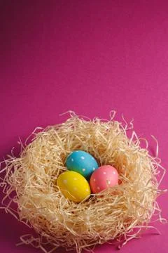 Colorful polka dot Easter eggs in wooden nest on pink purple background Stock Photos