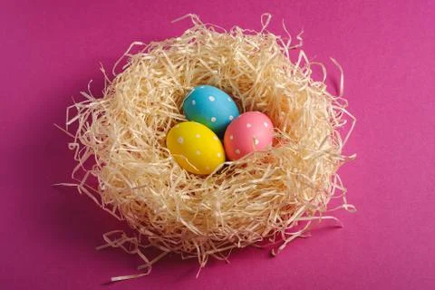 Colorful polka dot Easter eggs in wooden nest on pink purple plain background Stock Photos