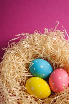 Colorful polka dot Easter eggs in wooden nest on pink background Stock Photos